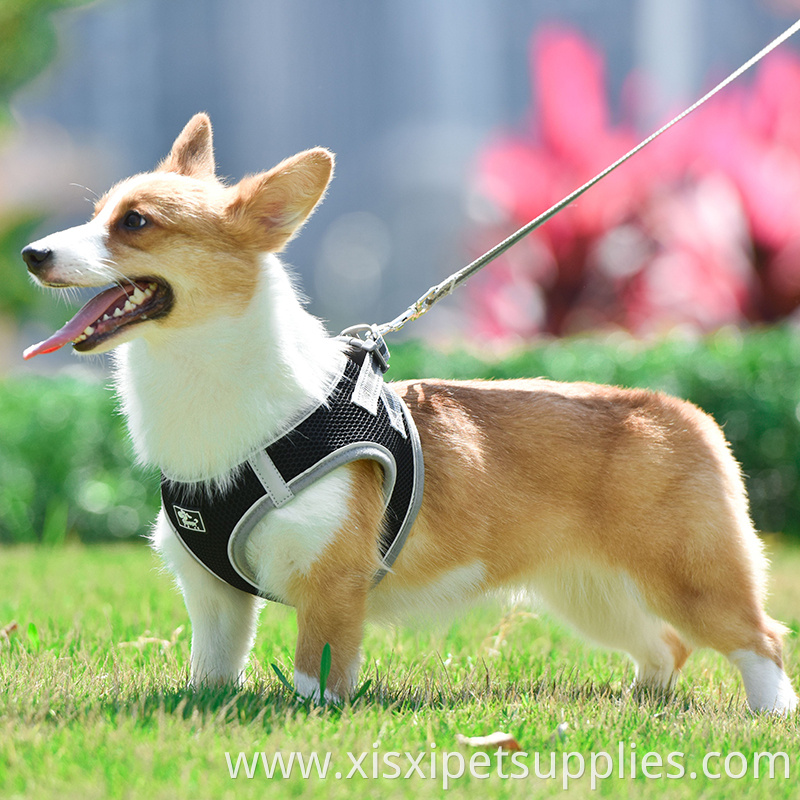 Wholesale Dog Adjustable Harness Polyester Back Clip Dog Harness